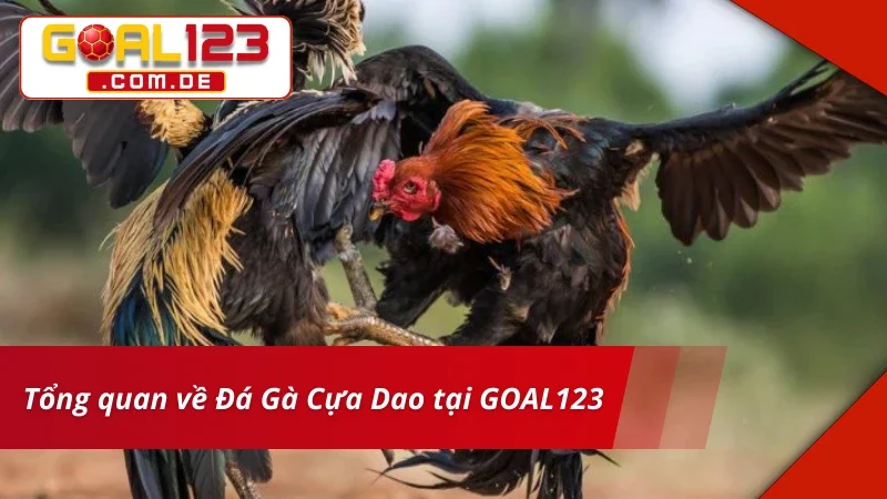 Đôi nét về trải nghiệm Đá Gà Cựa Dao tại nhà cái