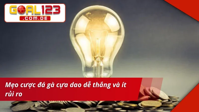 Mẹo chinh phục thắng lớn cùng Đá Gà Cựa Dao
