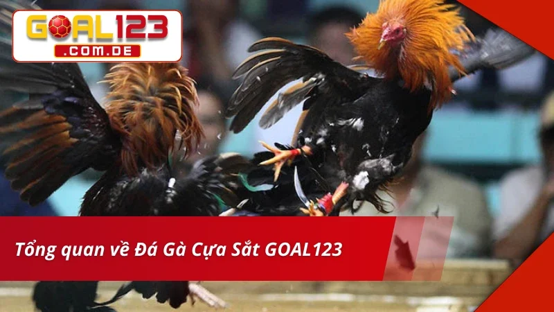 Đôi nét về trải nghiệm Đá Gà Cựa Sắt tại nhà cái