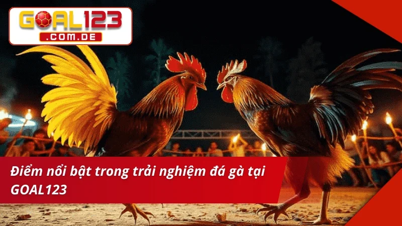 Trải nghiệm có một không hai cùng Đá Gà Cựa Sắt