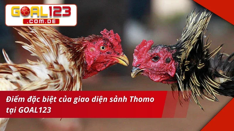 Giao diện sảnh vào kèo Đá Gà Thomo xịn sò