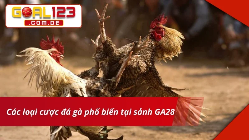 Cá cược chuẩn kèo cùng GA28 Đá Gà