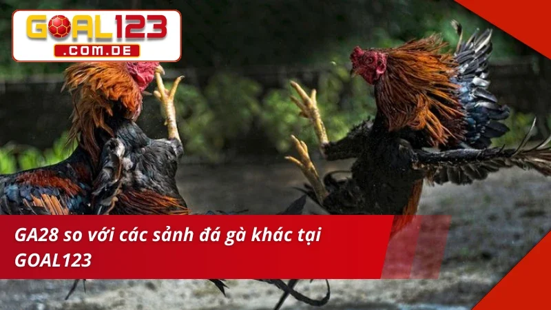 GA28 Đá Gà đỉnh cao hợp với mọi đối tượng cược thủ