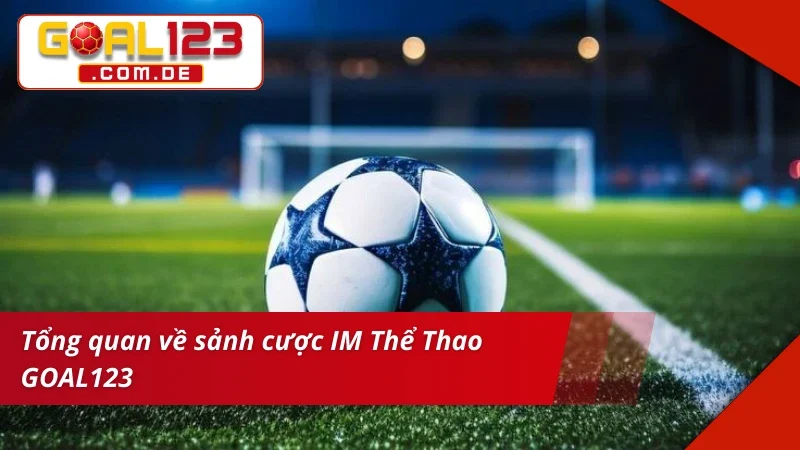 Tìm hiểu cơ bản về sảnh cược IM thể thao